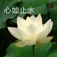 微信卡通萌萌头像图片大全(10)