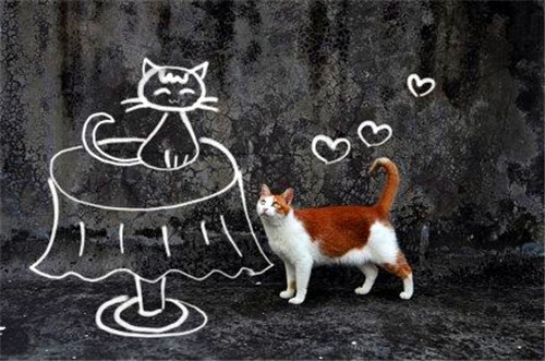 形容亲人狡猾的网名