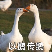 动漫小哥哥头像冷酷