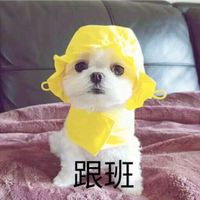 黑白漫画头像图片男生头像图片