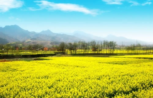 微信网名花样好看的符号图案大全
