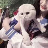 qq自制头像情侣