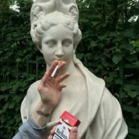 油菜花微信头像好吗(16)