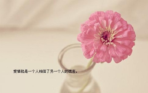 2018世界杯微信名字