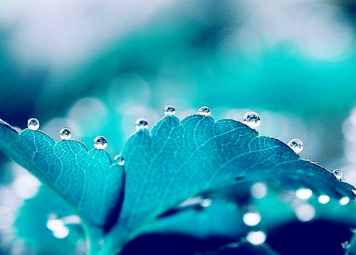 烟雨行舟QQ网名
