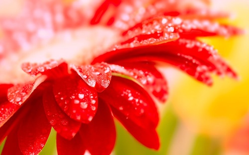 花体网名文艺