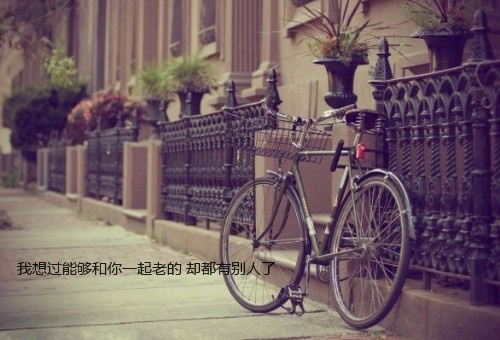 粉红樱花雨做微信昵称好不好