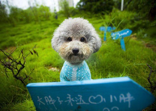 带笑三个字的微信昵称