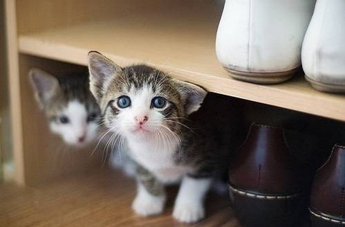 女生起个英文名字活泼猛撞