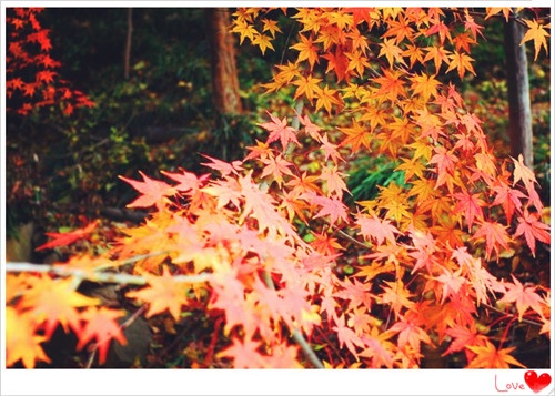 茗菛游戏网名