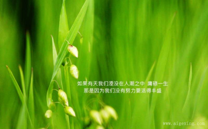 形容眼睛的优美句子