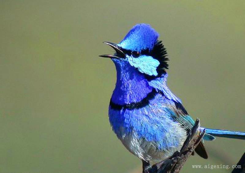 劝朋友不要太忙优美句子